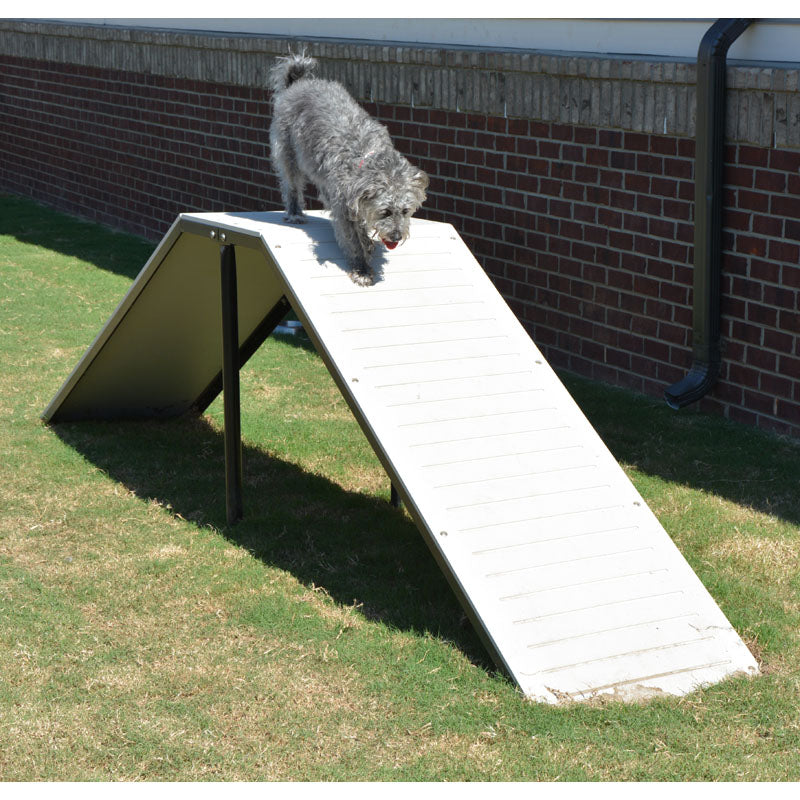 Dog Park Design Guide: Layout, Equipment and Surfacing
