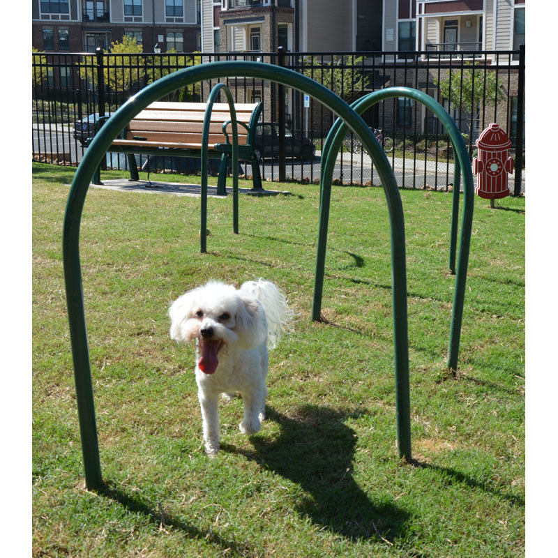 Dog Park Agility Ground Hoops, Set of 4